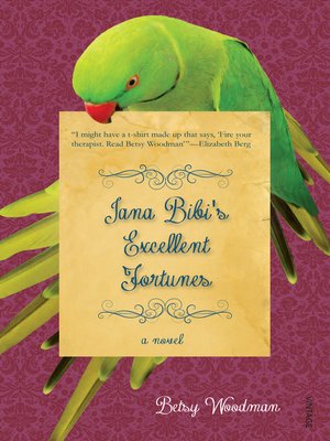 cover image of Jana Bibi's Excellent Fortune